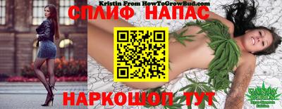 a pvp Заволжье