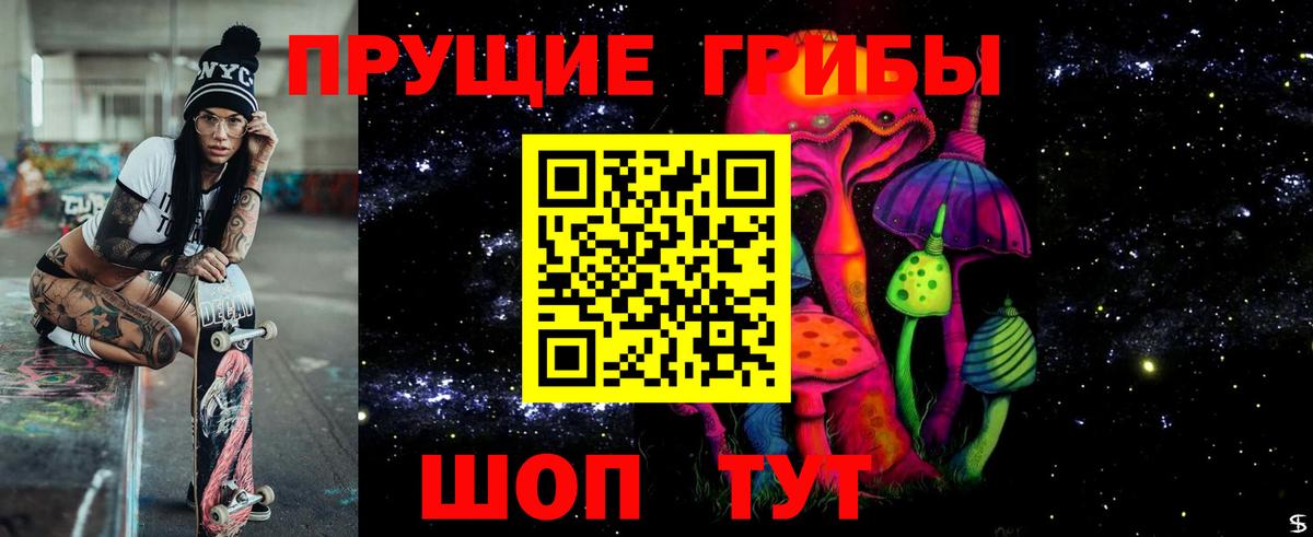 Курчатов  Псилоцибиновые грибы Cubensis  Вход с VPN  Псилоцибиновые грибы мицелий 