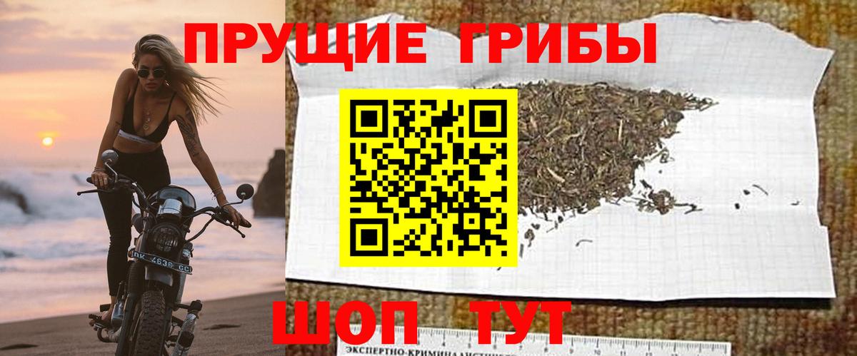 Псилоцибиновые грибы ЛСД Курчатов